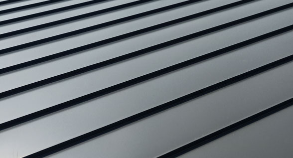 廈門巢居木結構